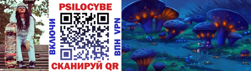 где найти   Энгельс  Галлюциногенные грибы Psilocybine cubensis 